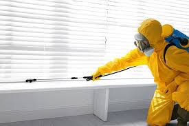 Best Bed Bug Extermination  in The Meadows, FL